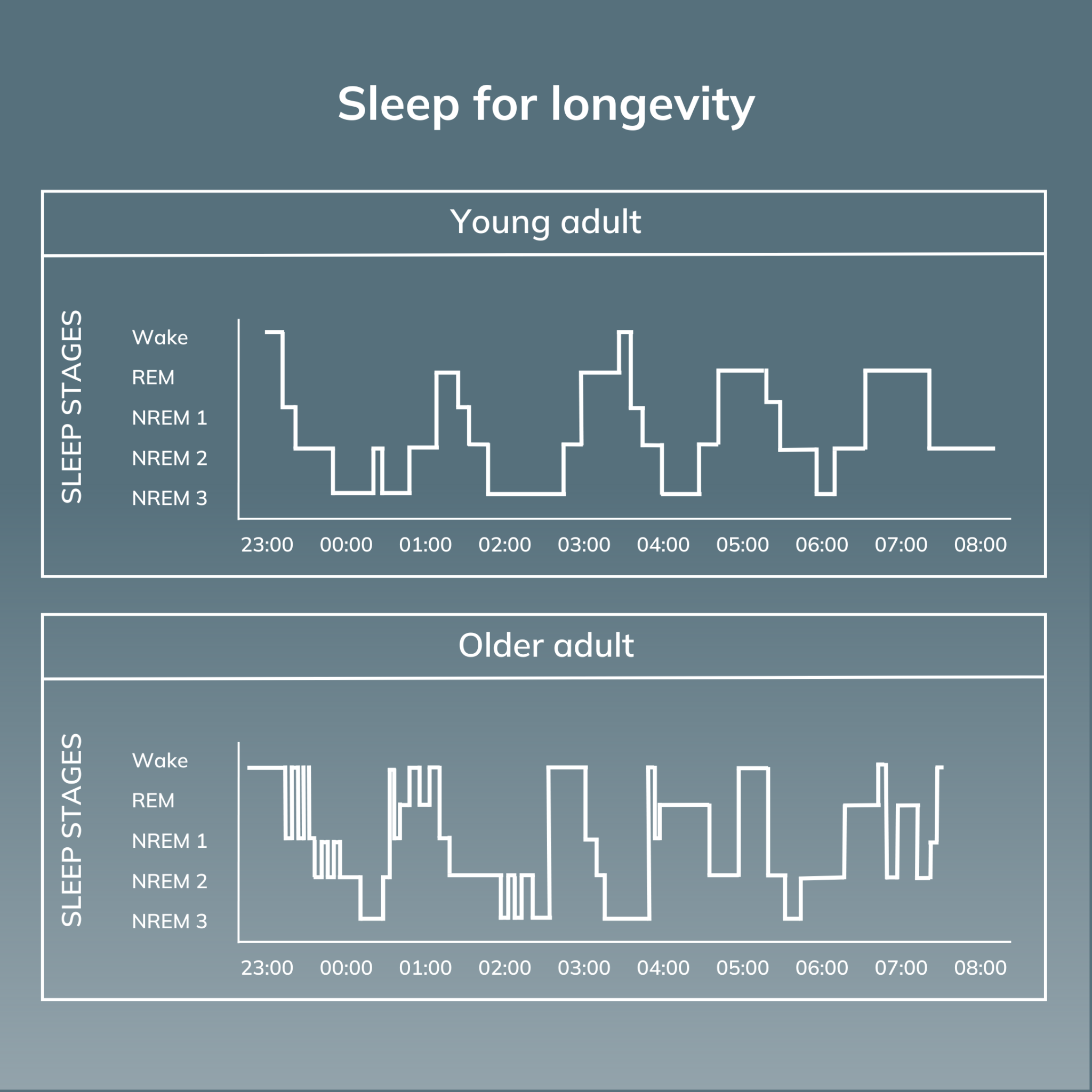 Sleep for Longevity - Avea Life Insights