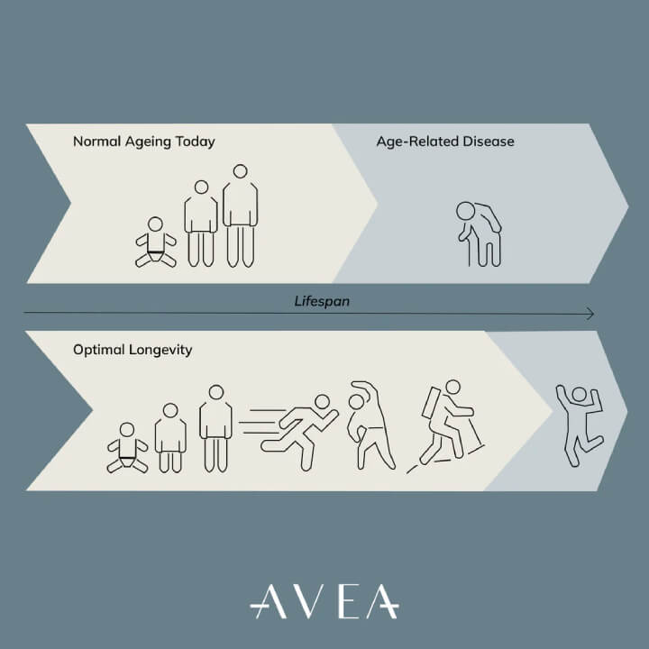 Healthspan vs lifespan