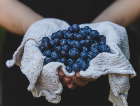 blueberries