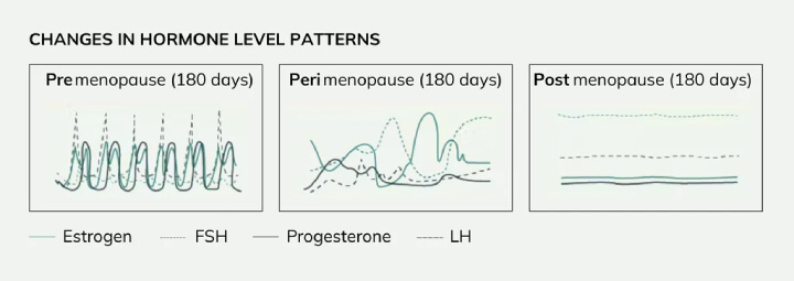 changes in hormones menopause