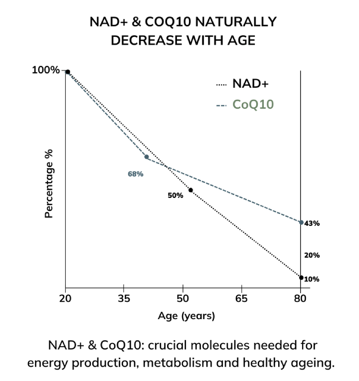 How NAD+ and CoQ10 decrease naturally with age