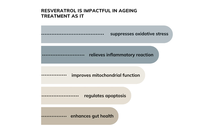 impact resveratrol in your body