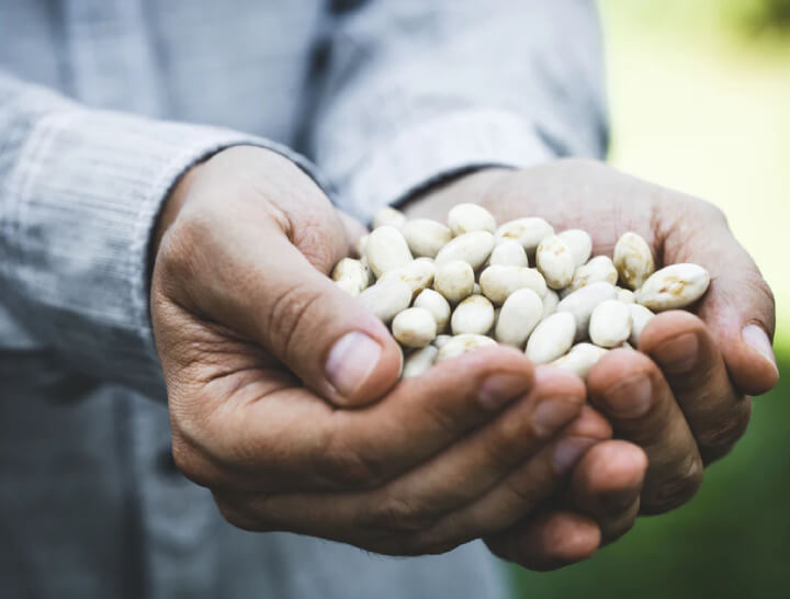 man holding grain