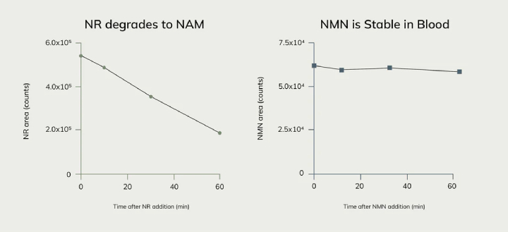 nmn vs nr