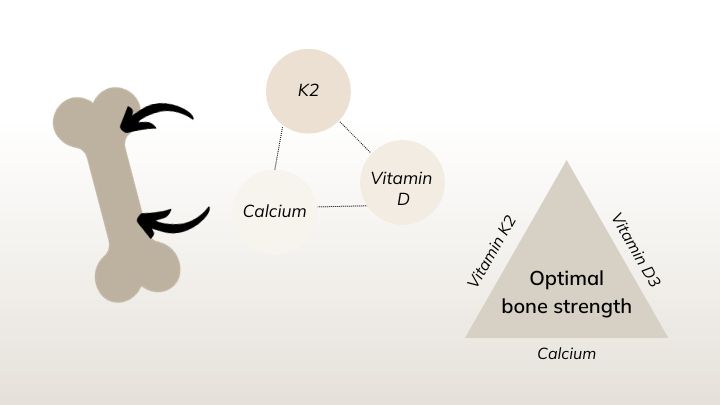 vitamin d and k2 for the bone