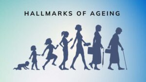 hallmarks of ageing