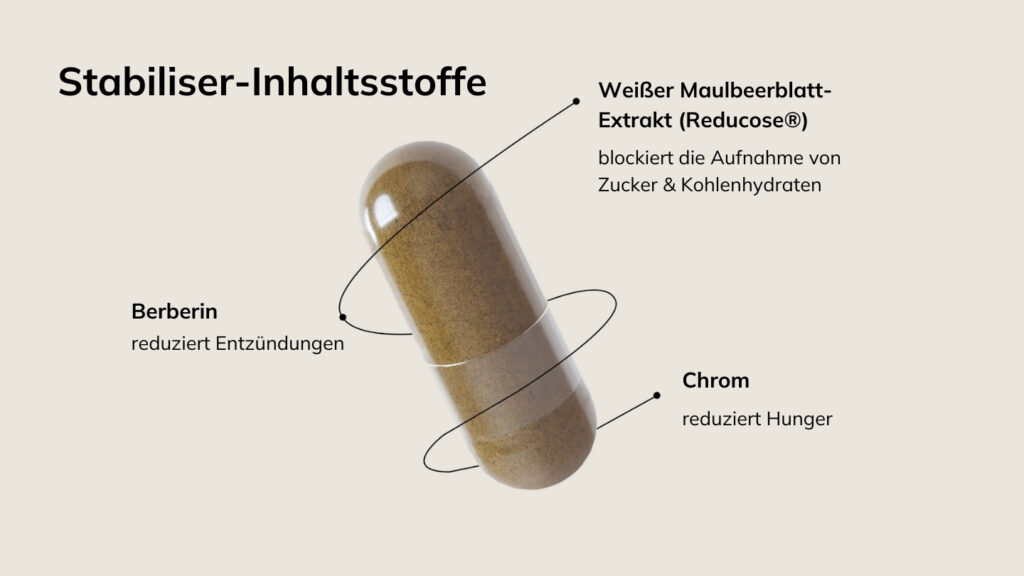 Weiße Maulbeere Wirkung: Stabiliser-Inhaltsstoffe