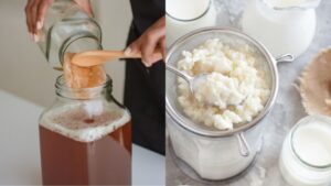 Kefir vs. Kombucha