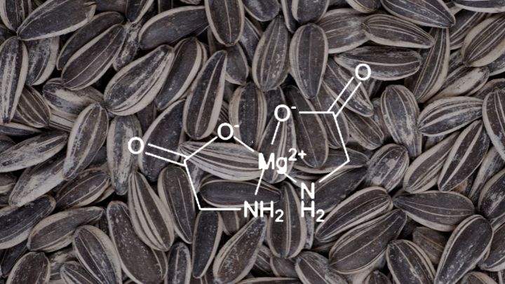 Magnesium Bisglycinate V1