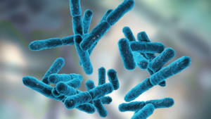 Bifidobacterium breve for your gut: benefits, sources, side effects, and more