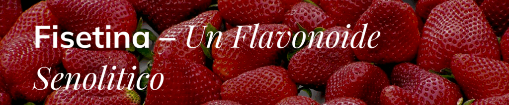 Fisetina