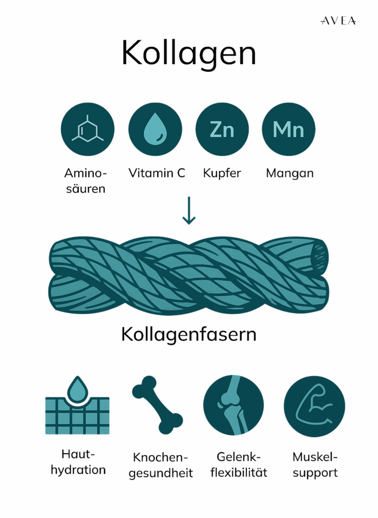 Kollagen