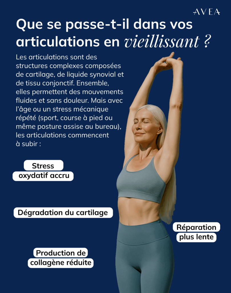 Que se passe-t-il dans vos articulations avec l’âge