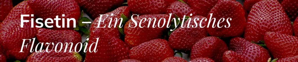 Fiestin - Ein Senolytisches Flavonoid