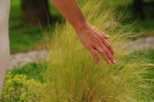 Ozempic Face and GLP-1 Side Effects: How to Support Skin | AVEA