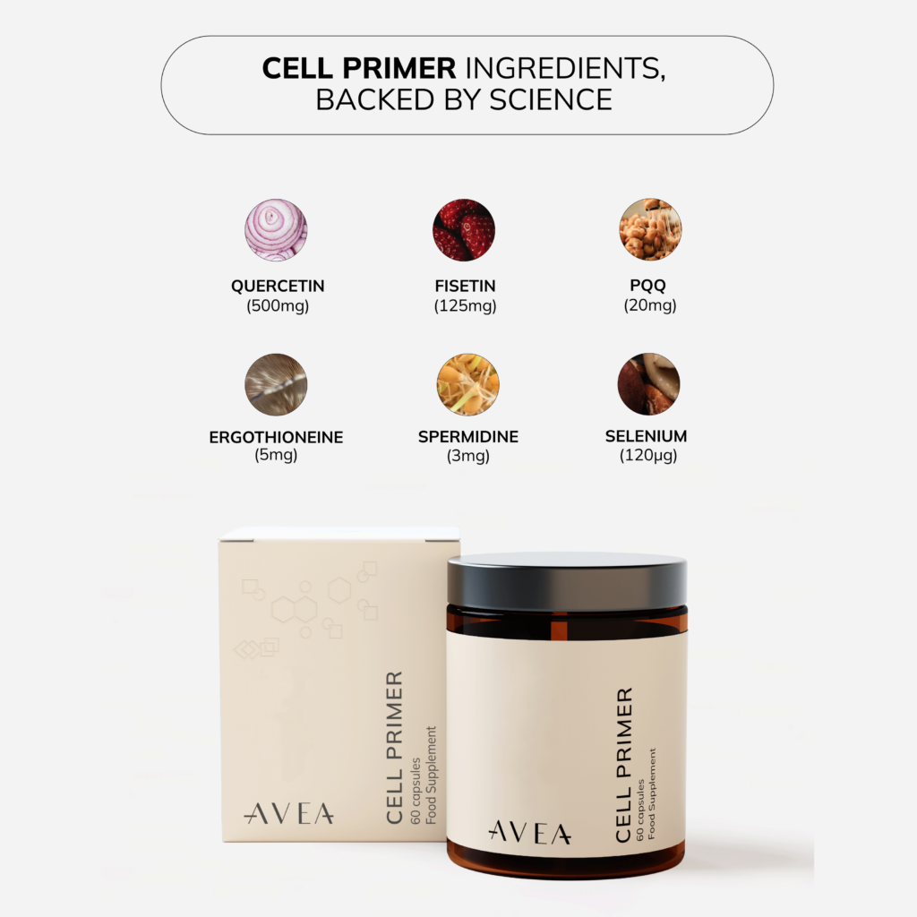 Longevity at Home: A Guide to Ageing Well Indoors in Singapore - AVEA's Cell Primer