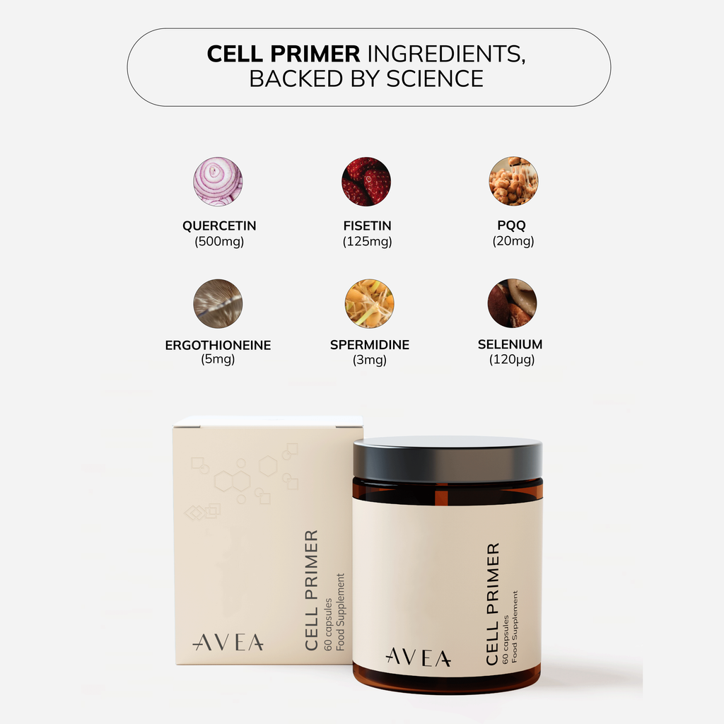 What is oxidative stress? 5 simple ways to reverse it - AVEA Cell Primer