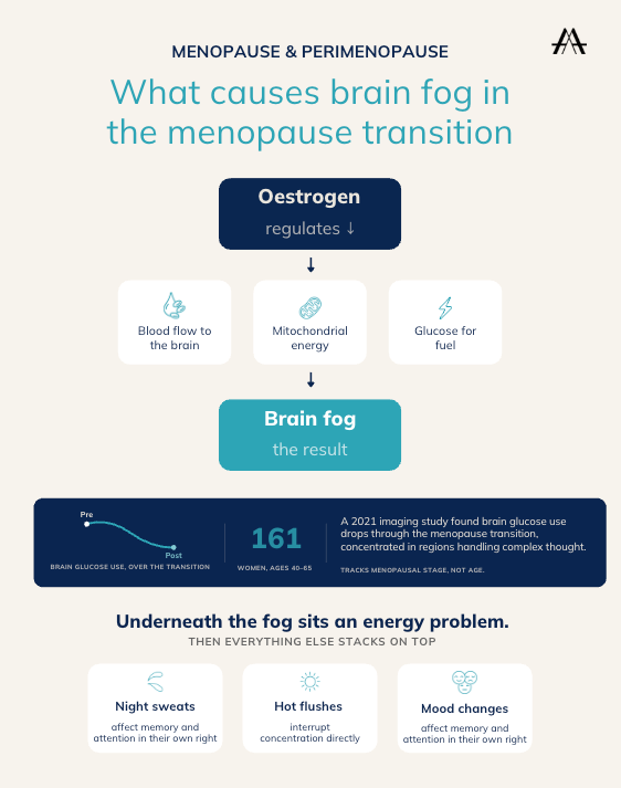 Menopause Brain Fog: Why It Happens, and What Actually Helps - AVEA MindSpan™