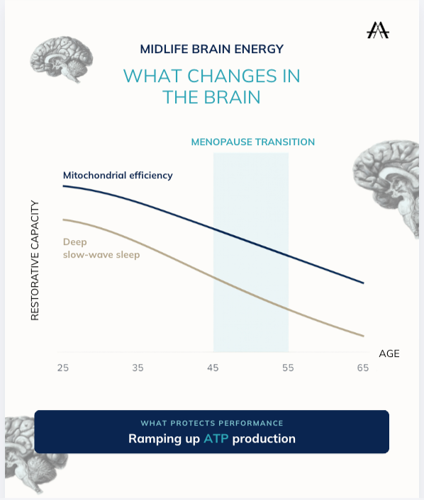 Creatine for the Brain: What It Actually Does (And Why It Matters More After 40)