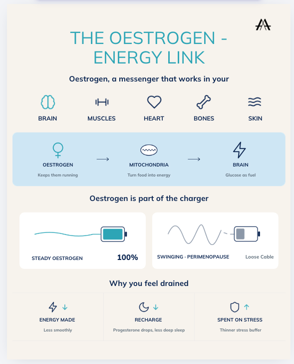 Why am I always tired during menopause? The oestrogen-energy link - AVEA MenoSpan